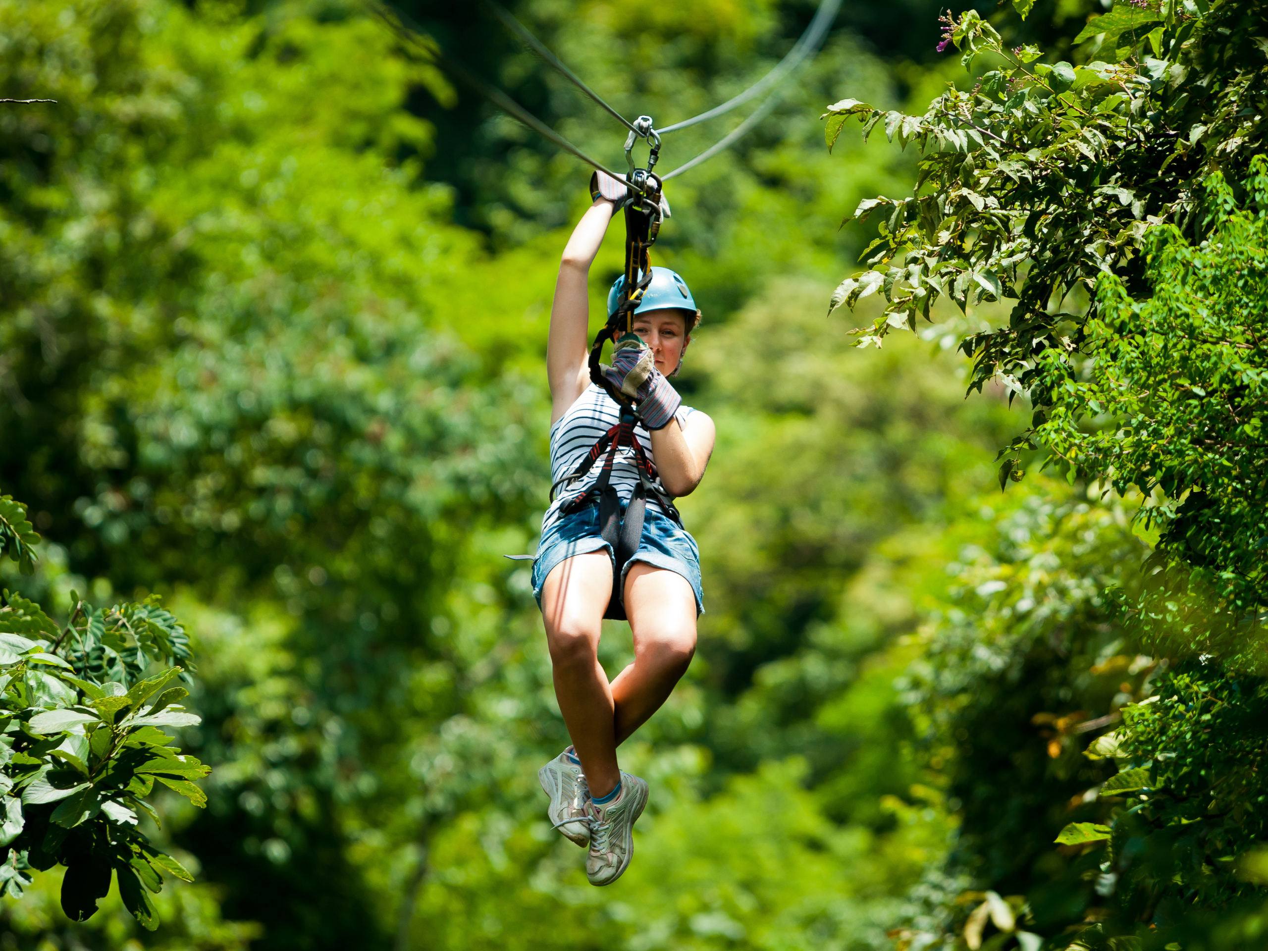 Kid Ziplines